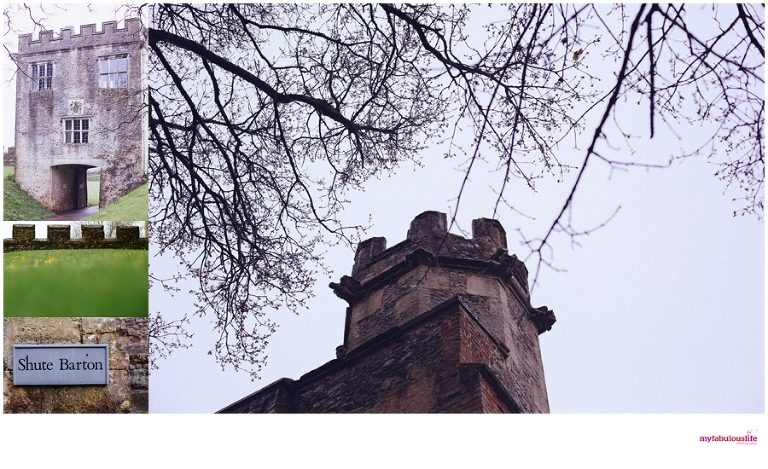 Wedding Photographer South Devon 