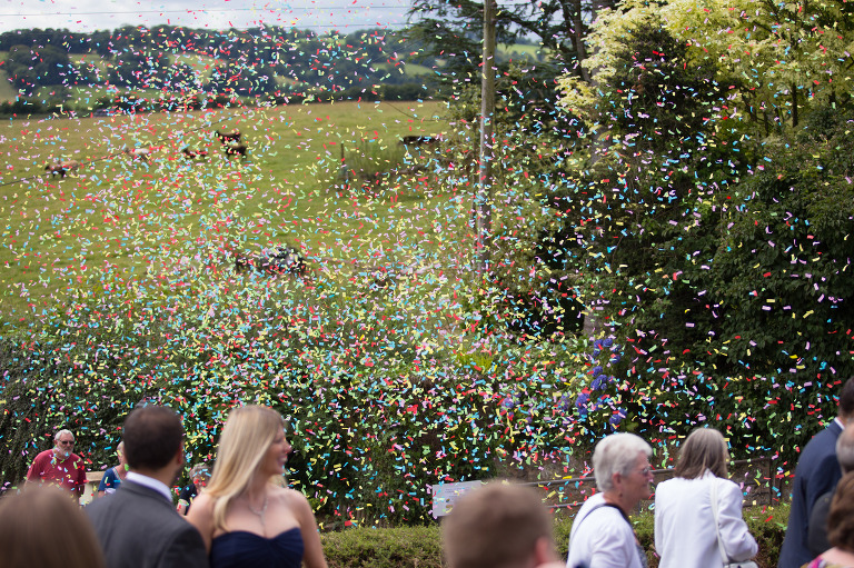 Farm Festival Wedding